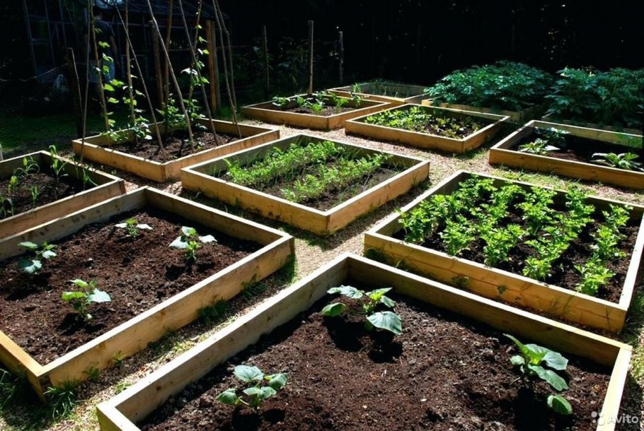 Красивые грядки