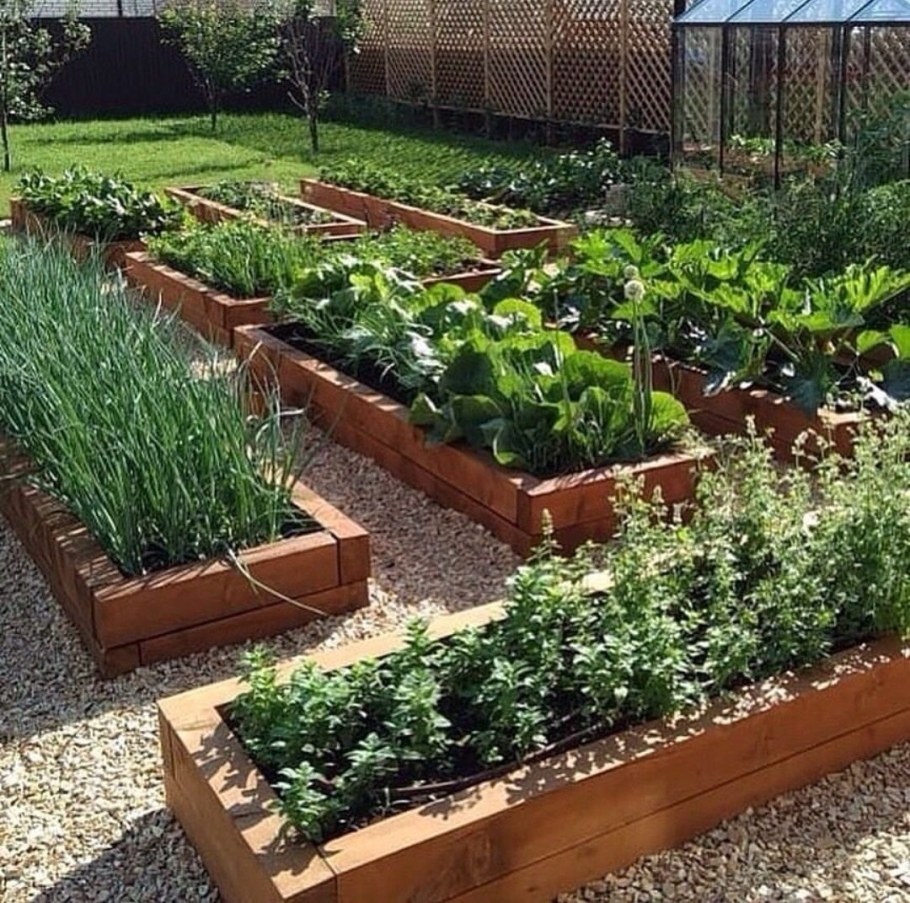 Мидлайнер грядки