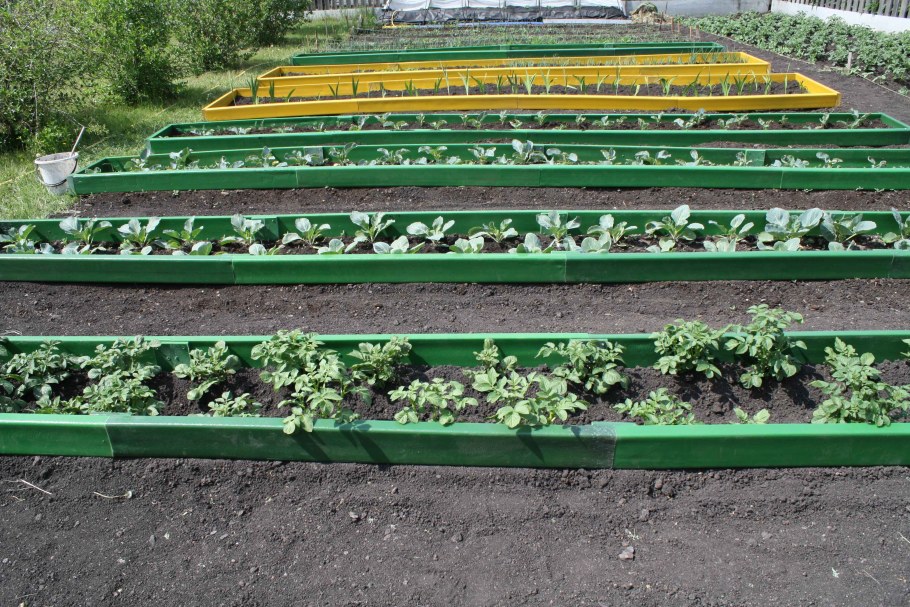 Красивый огород