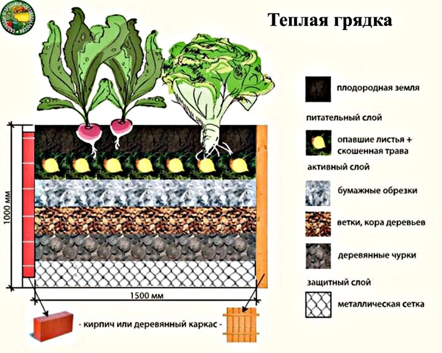 Схема устройства высоких грядок