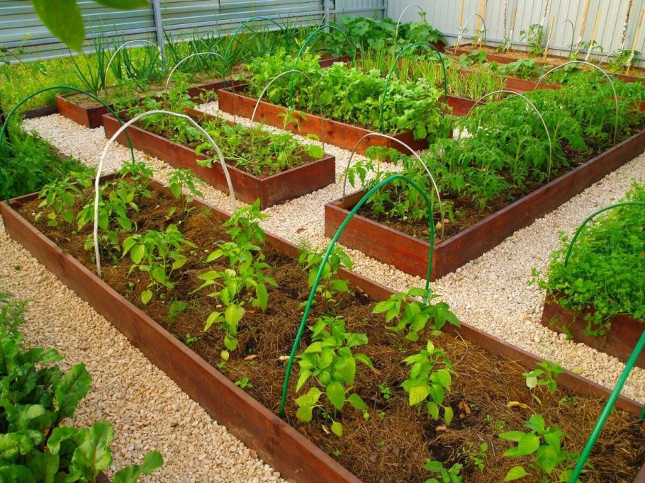 Курдюмовские грядки