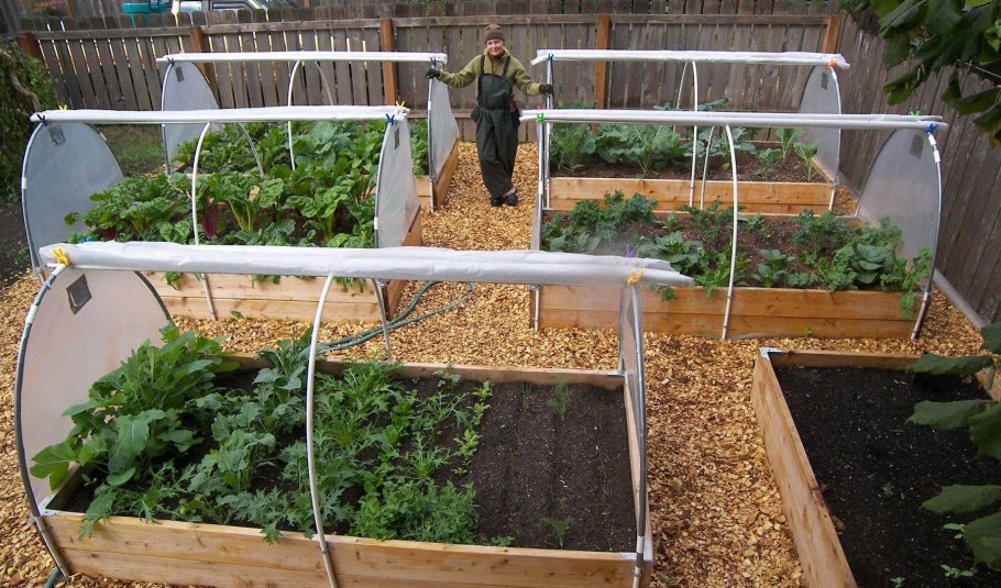 Высокие грядки с парником