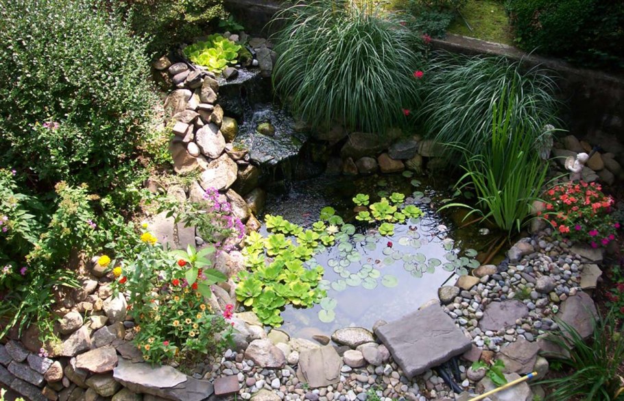 Маленький водоем в саду