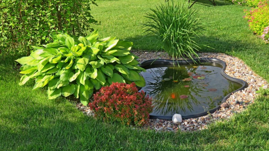 Клумба возле прудика