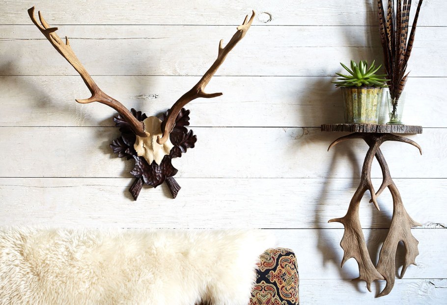 Оленьи рога на стене