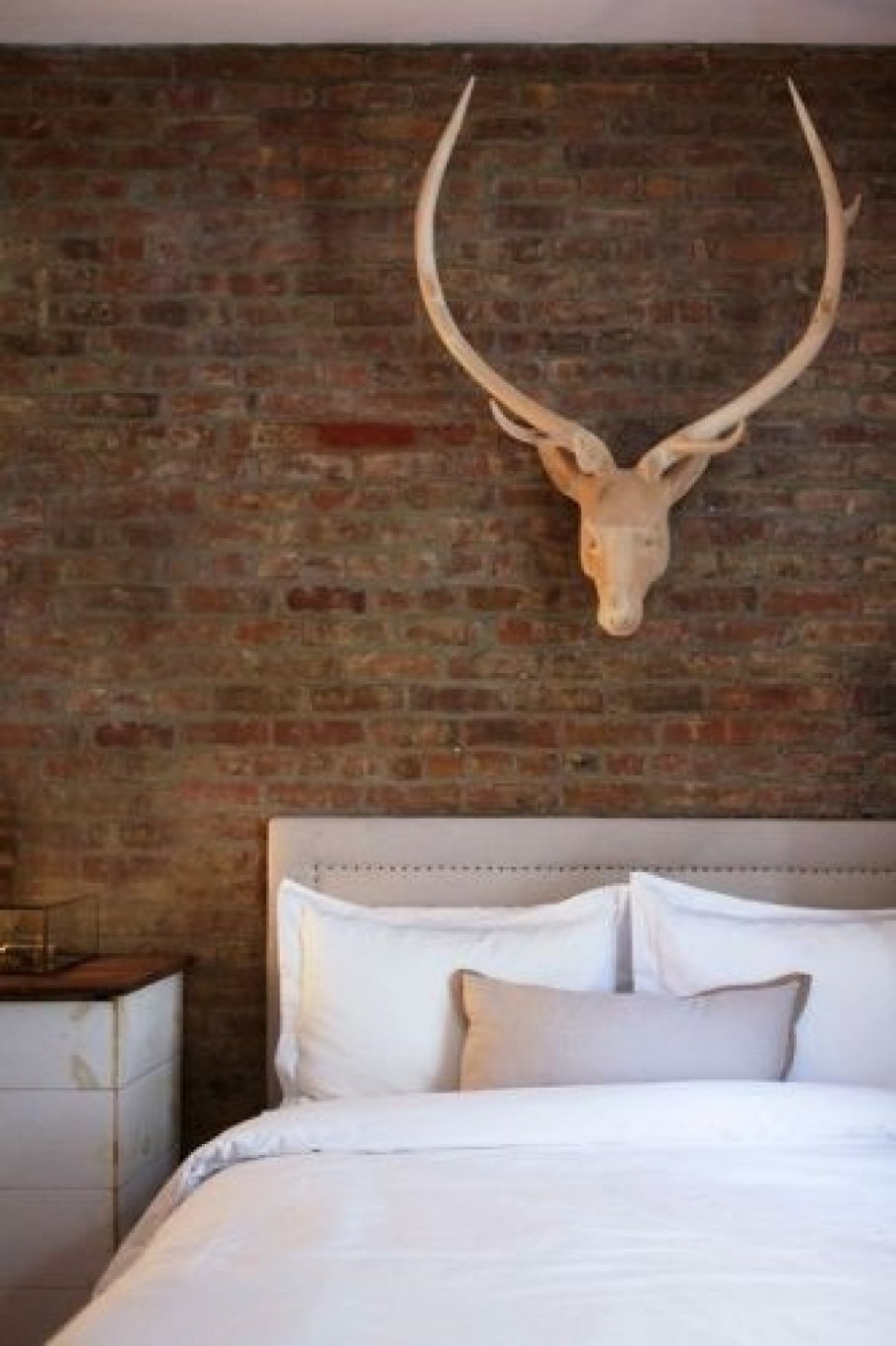 Оленьи рога на стене
