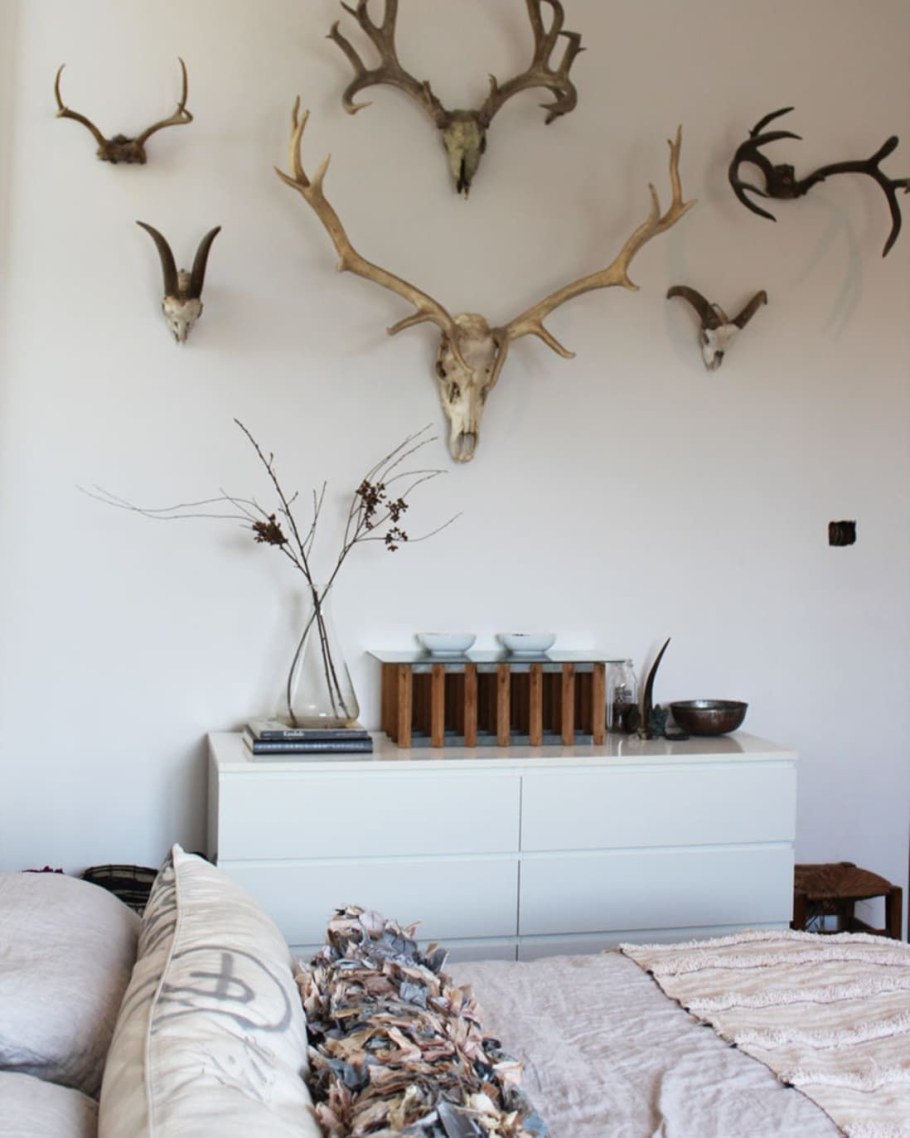 Интерьер с рогами современном стиле