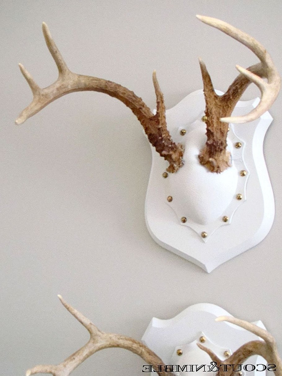 Оленьи рога на стене