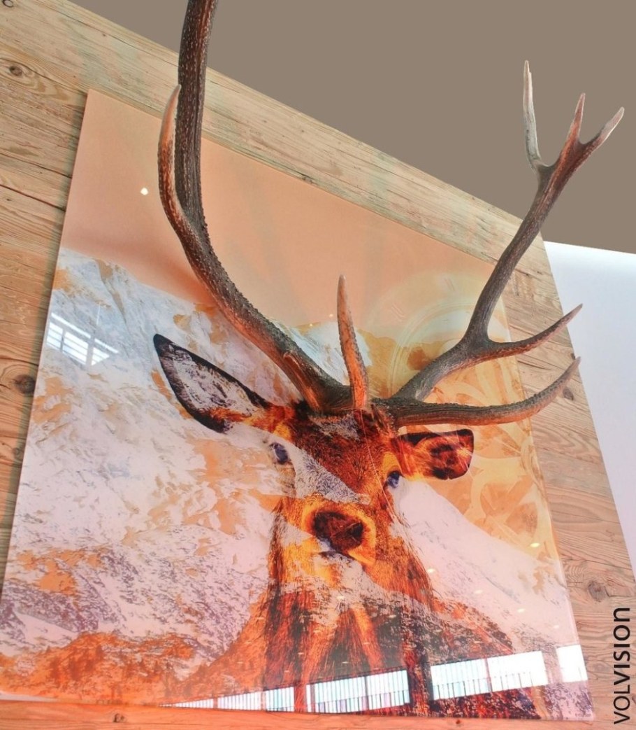 Рога оленя в интерьере