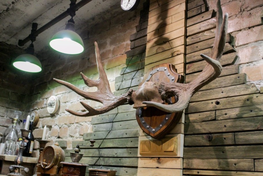 Оленьи рога на стене