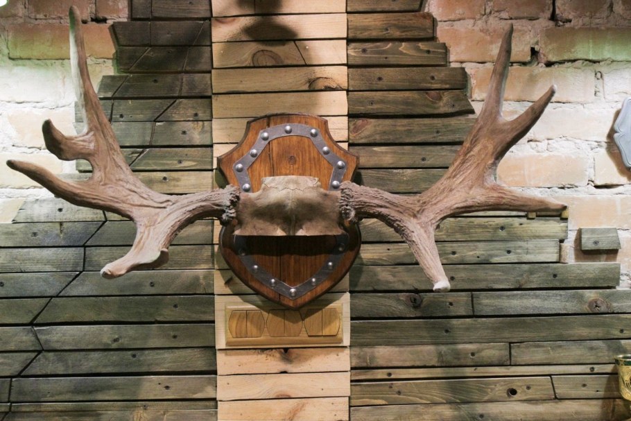 Рога оленя лося и марала