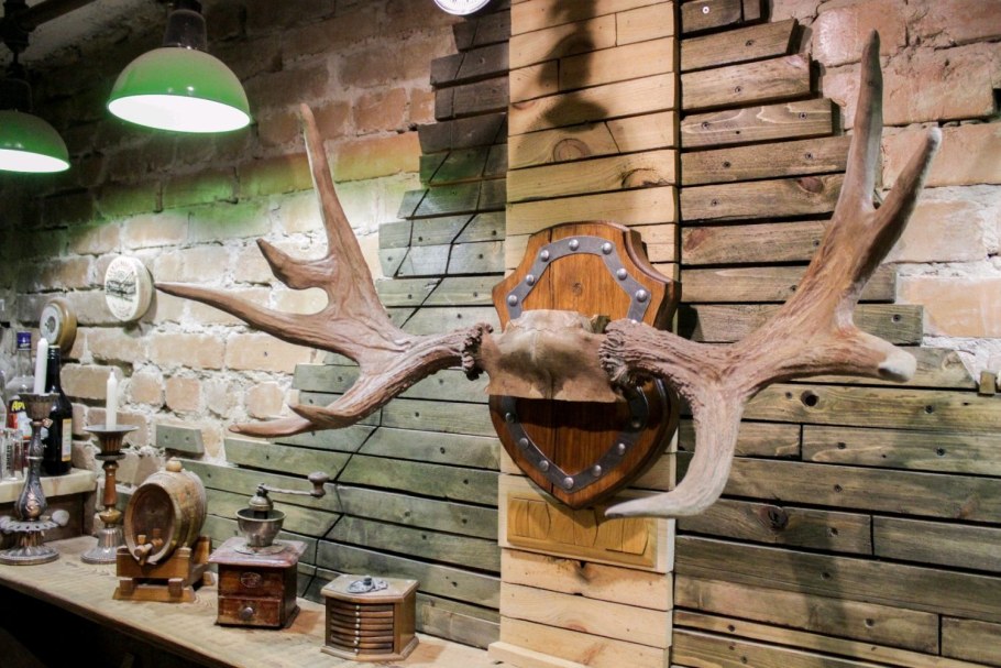 Лосиные рога на стену