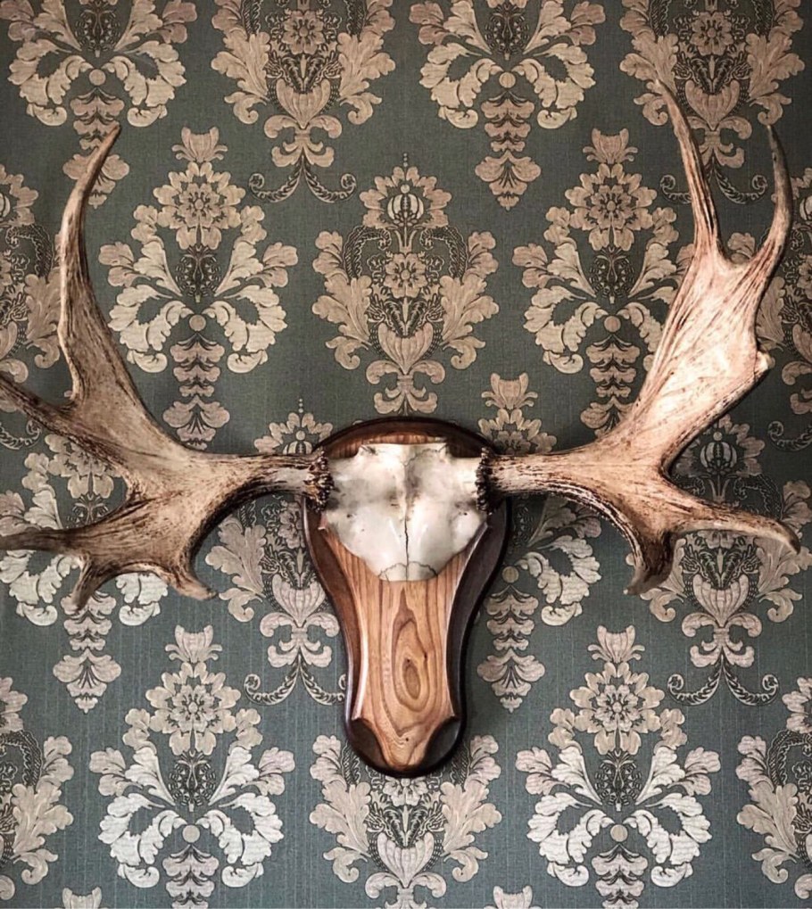 Лосиные рога на стену