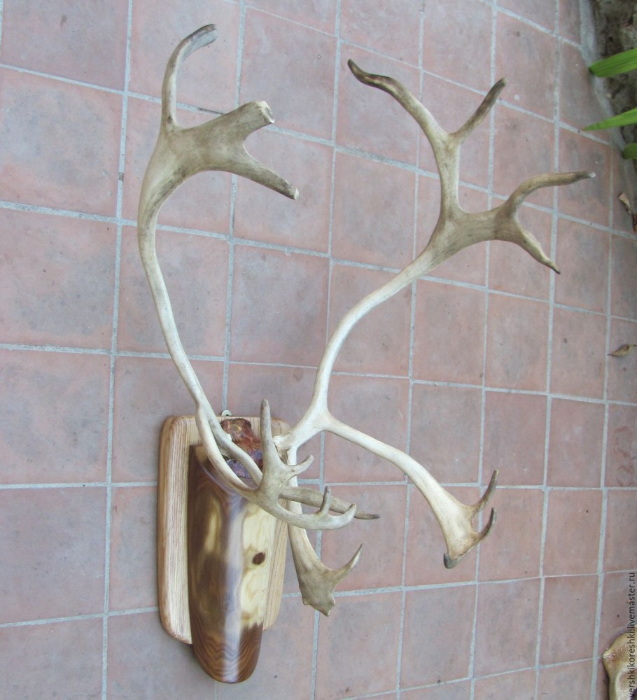 Вешалка "рога лося"