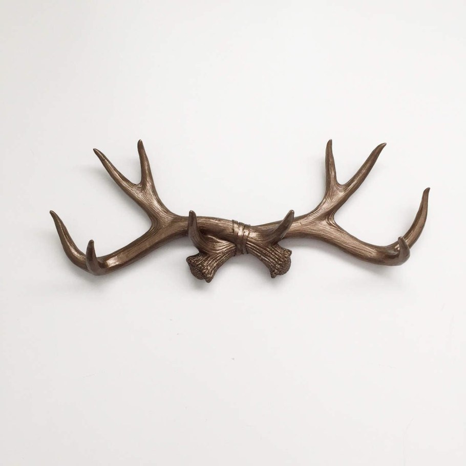 Оленьи рога на стене