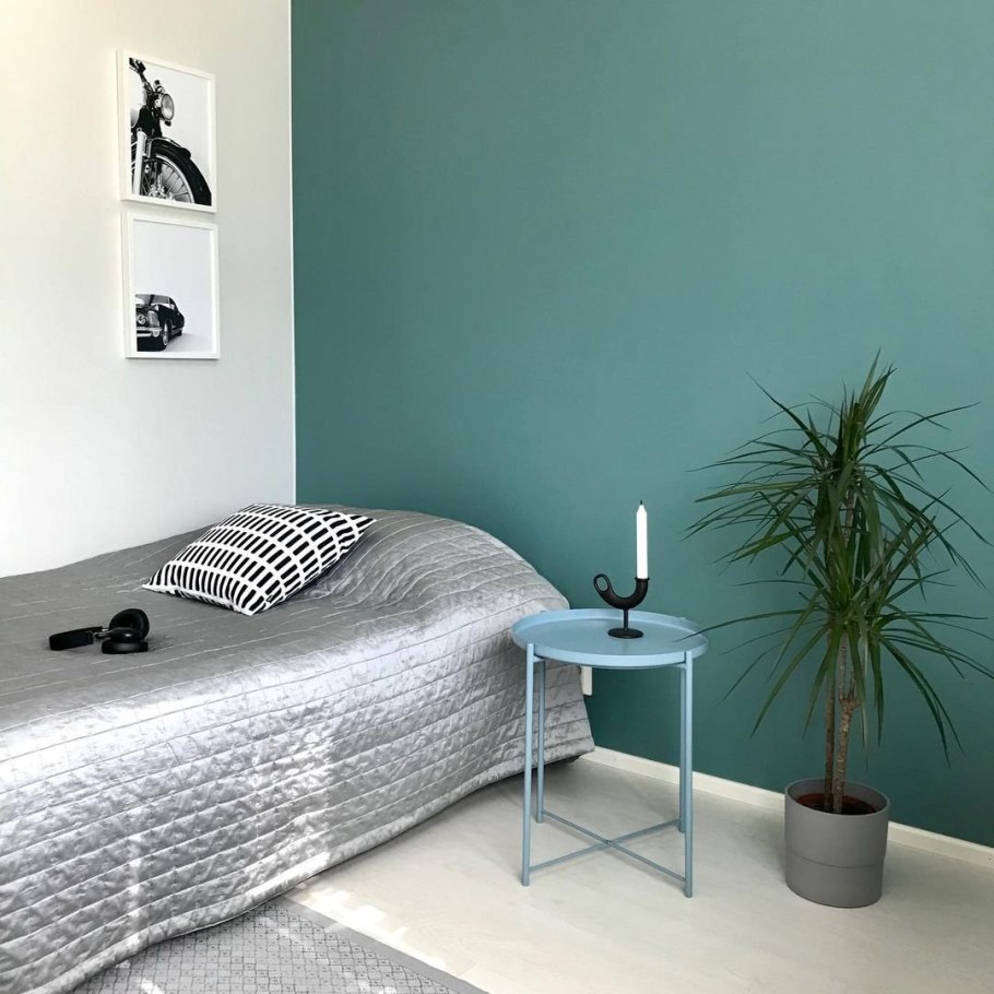 Тиккурила s491