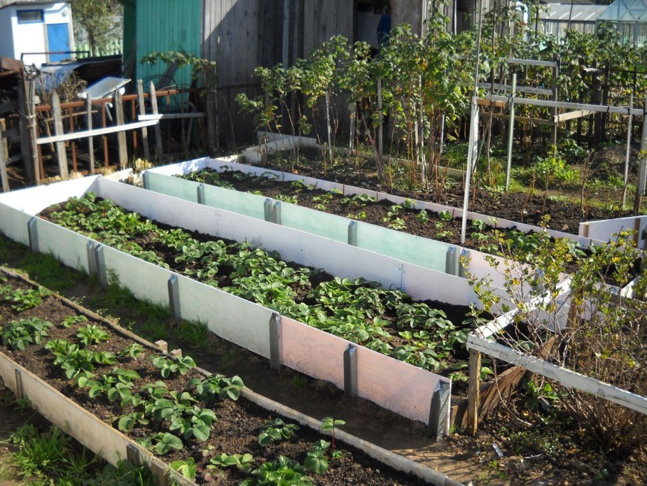 Ограждения для грядок из подручных материалов