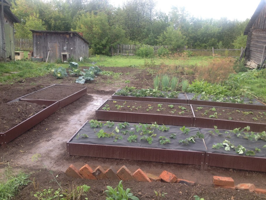 Ограждение для грядок