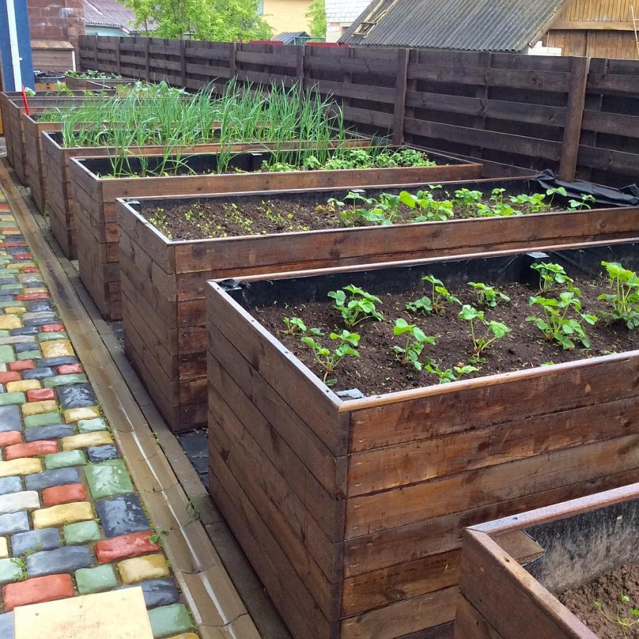 Высокие грядки Акинина