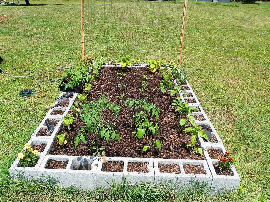 Грядки на даче