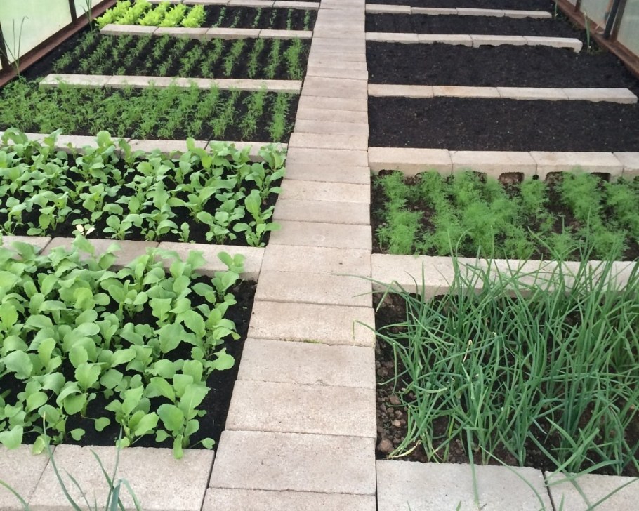 Ограждение для грядок