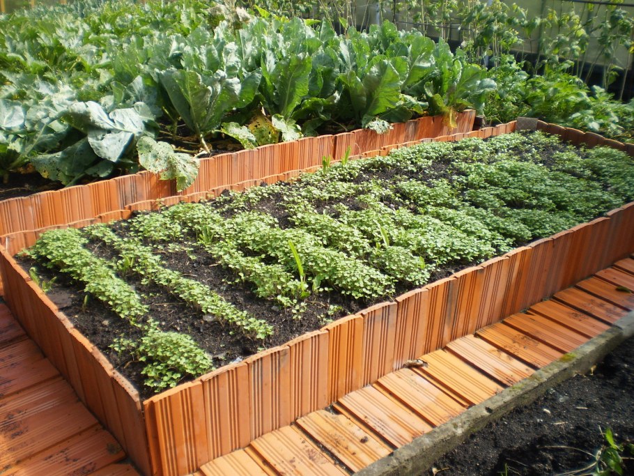 Деревянные ограждения для грядок