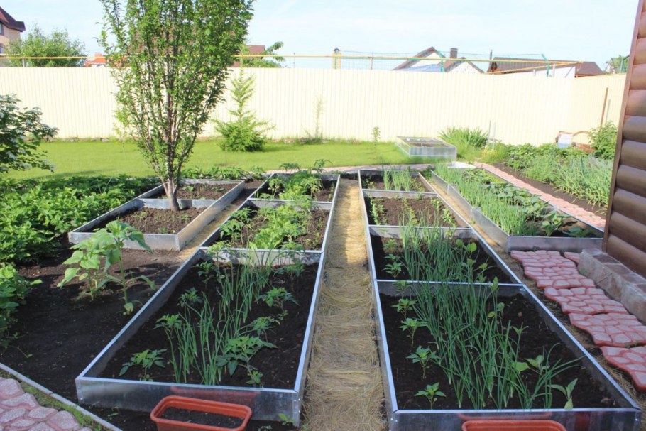 Грядки в огороде