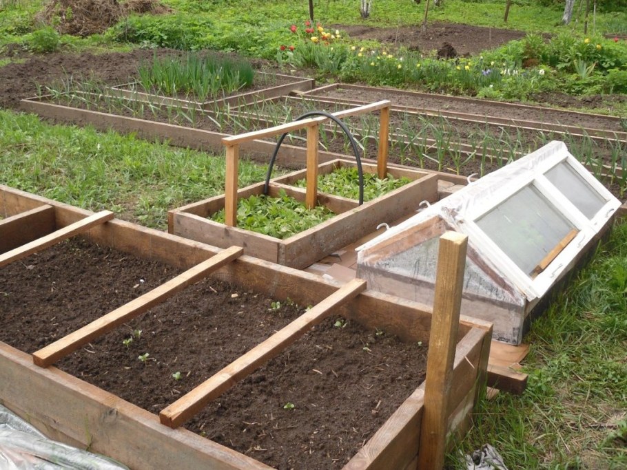 Высокие грядки