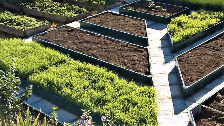 Грядки Лядова