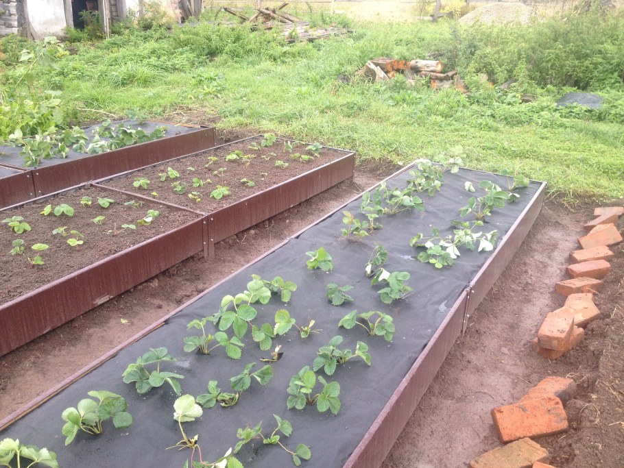 Ограждение для грядок