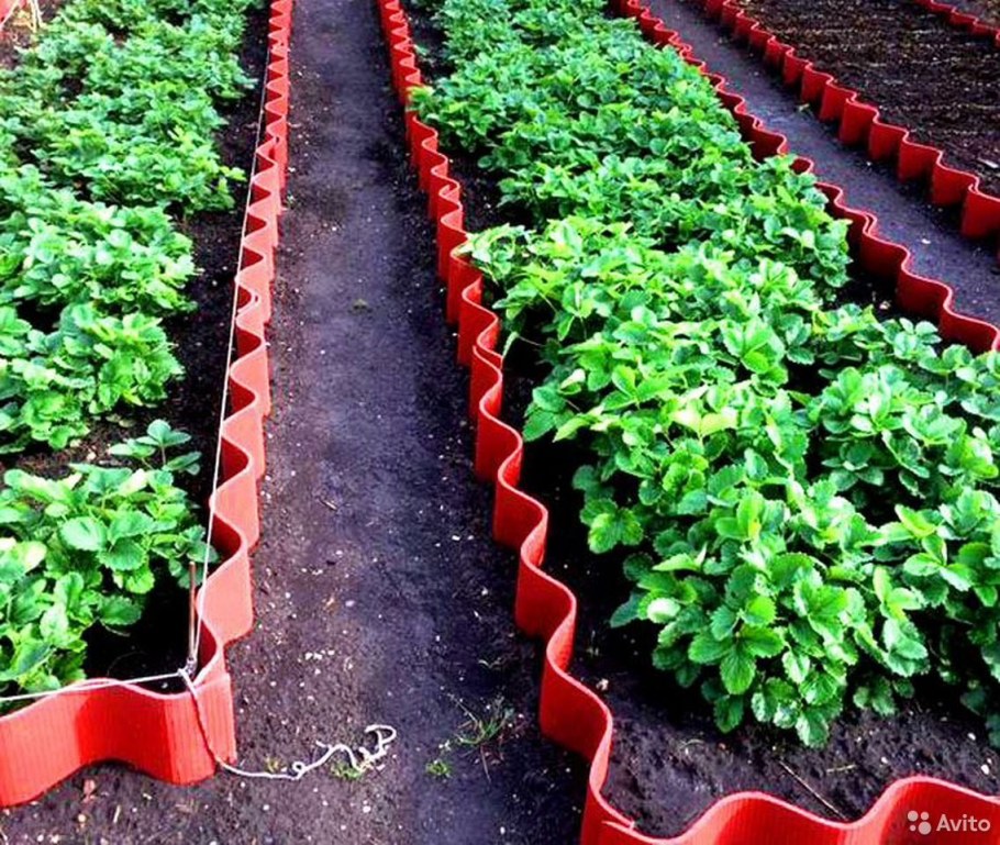 Ограждения для грядок из шифера