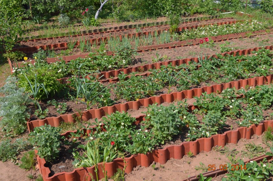 Материал для ограждения грядок