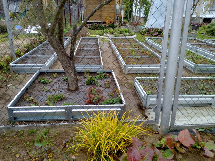 Ограждения для грядок из оцинковки