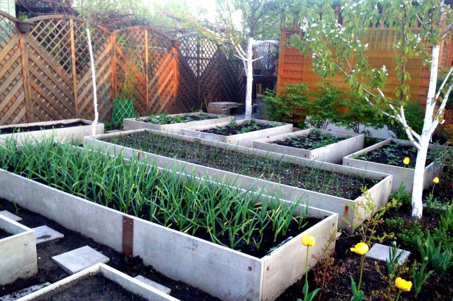 ЦСП 1500х300 для грядок