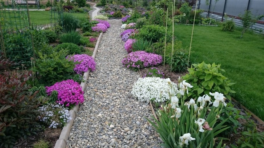 Рабатка бордюр миксбордер