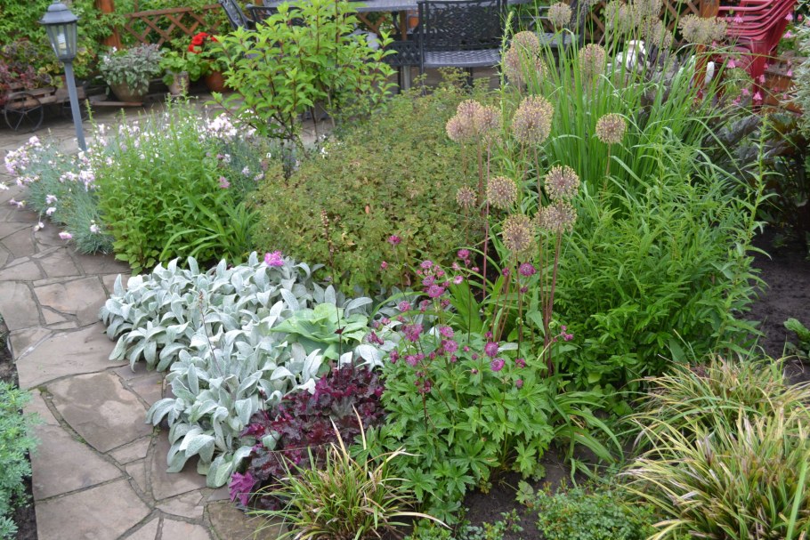 Лиатрис миксбордер