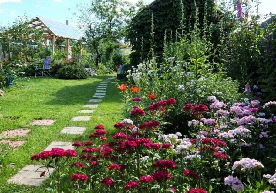 Георгин клумба миксбордер