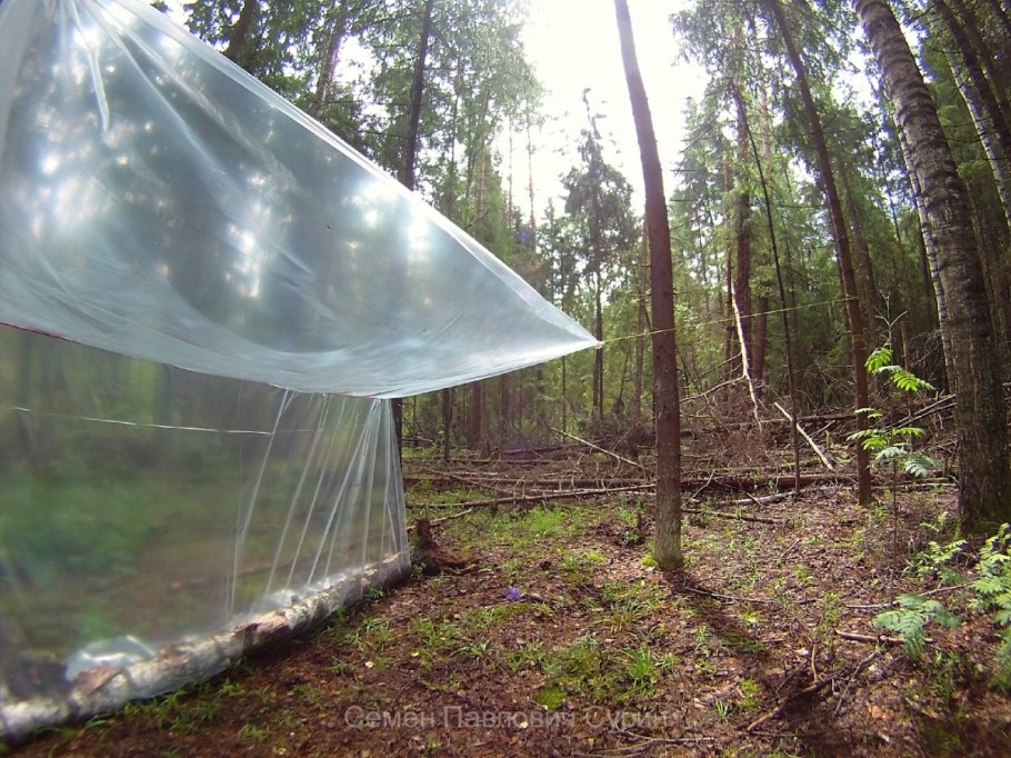 Навес в лесу от дождя