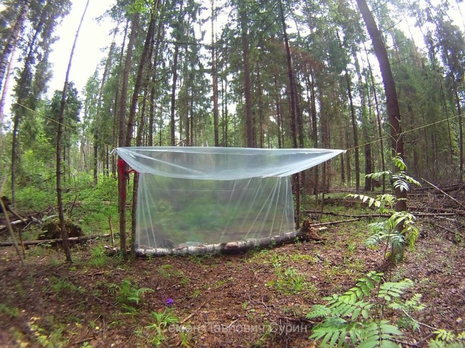 Навес в лесу от дождя