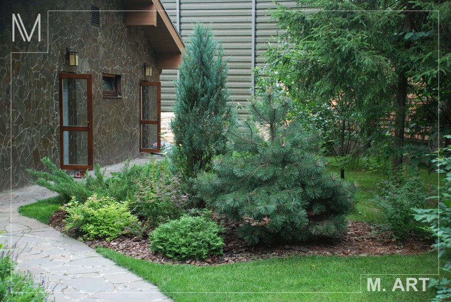 Туя Смарагд,можжевельник казацкий,Горная сосна-клумба