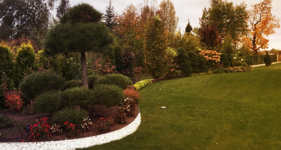 Сосна Грин Тауэр