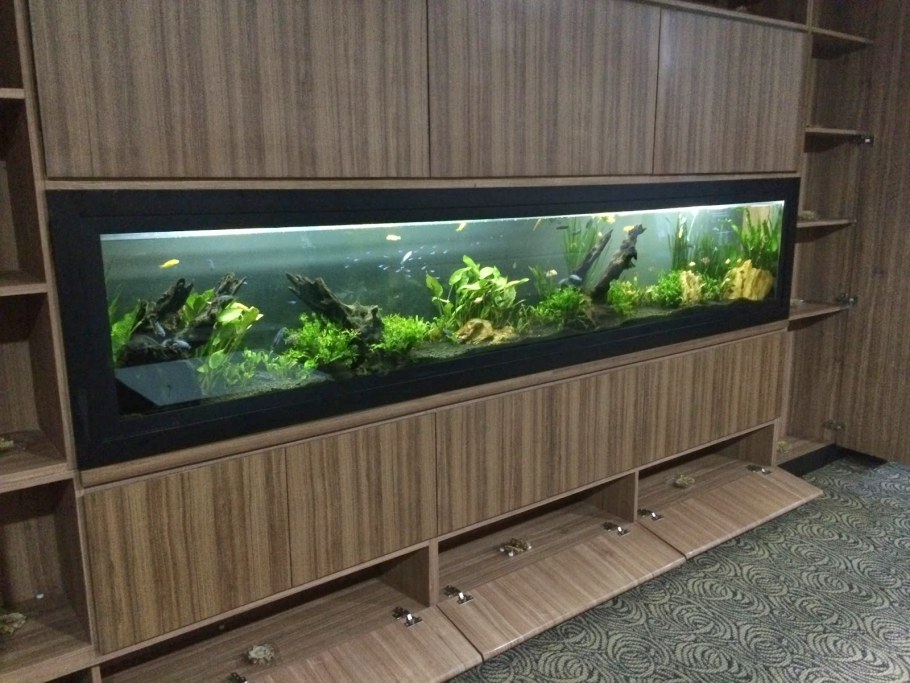 Узкий аквариум