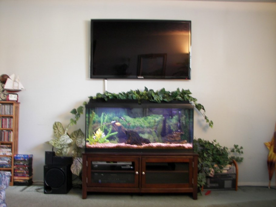 Аквариум под телевизором