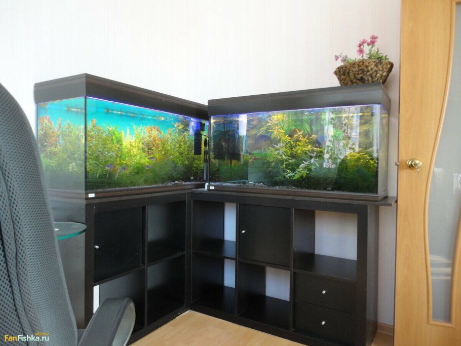 Угловая полка под аквариум