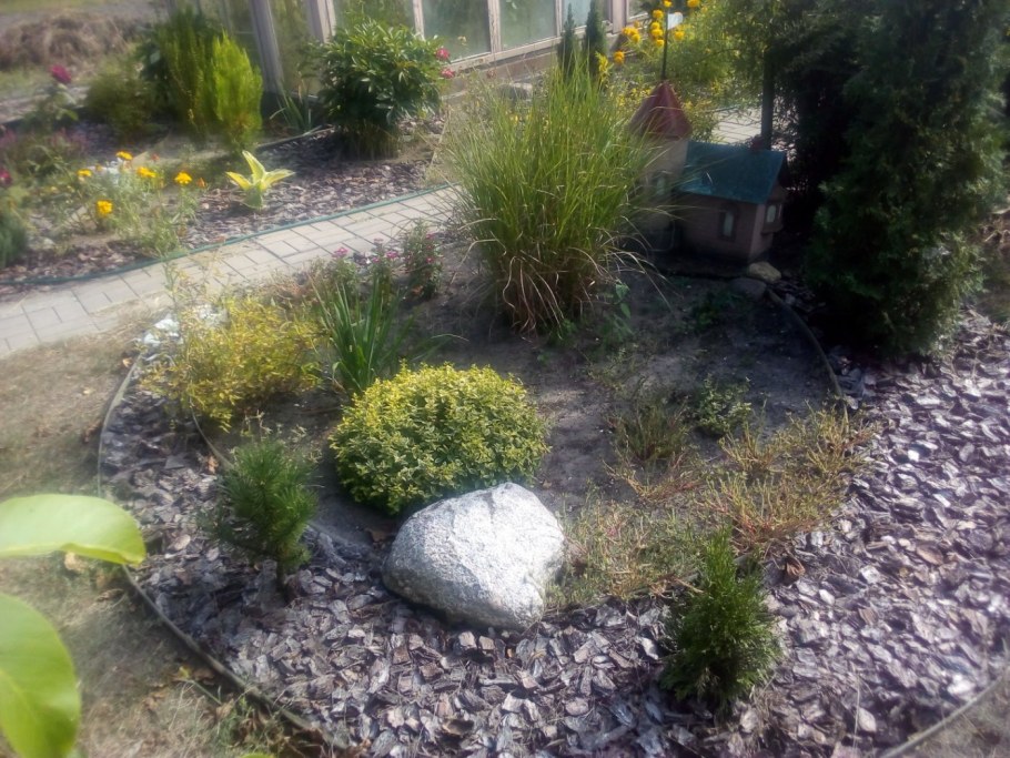 Купена в ландшафтном дизайне фото