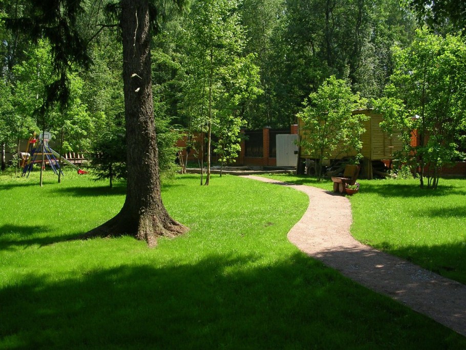 Газон «садово-парковый» зеленый