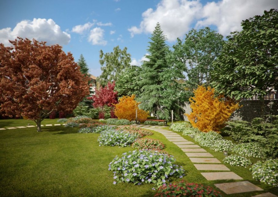 Клен в ландшафте