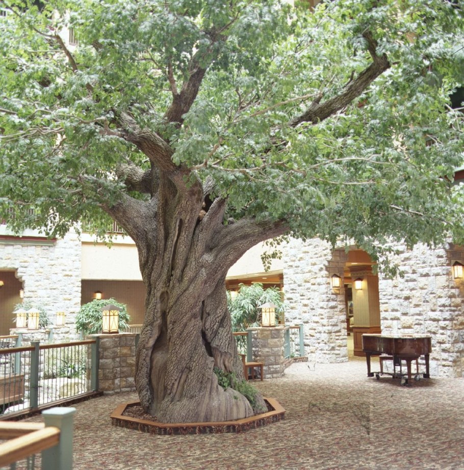 Деревья в саду