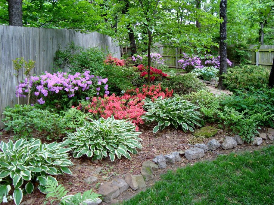 Хоста белоокаймленная миксбордер