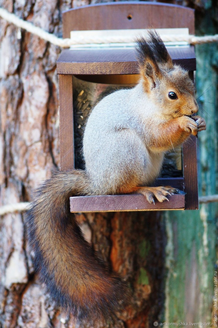 Кормушка для белки